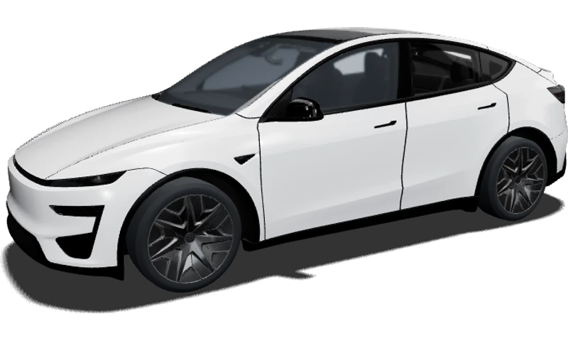 Model Y Performance 2025